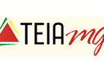 Teia MG: crowdsourcing governamental