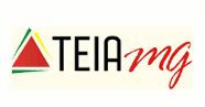 Teia MG: crowdsourcing governamental