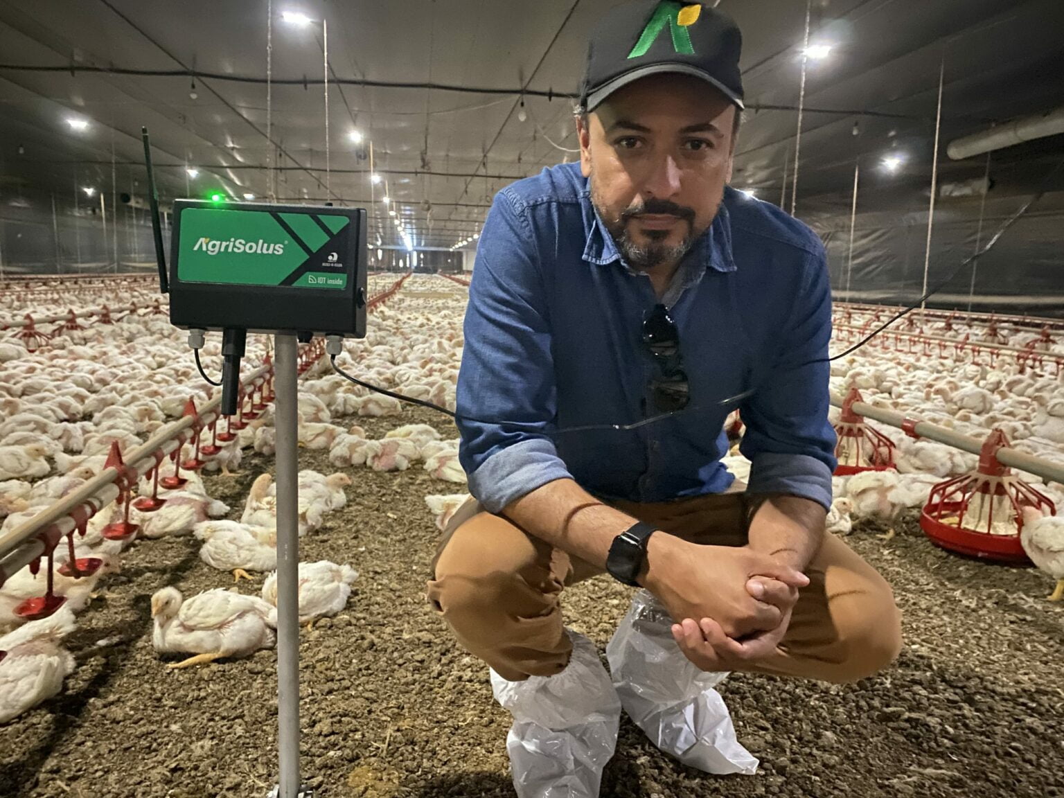 Agtech que leva Inteligência Artificial para granjas e frigoríficos recebe aporte de R$ 2 milhões Agtech que leva Inteligência Artificial para granjas e frigoríficos recebe aporte de R$ 2 milhões