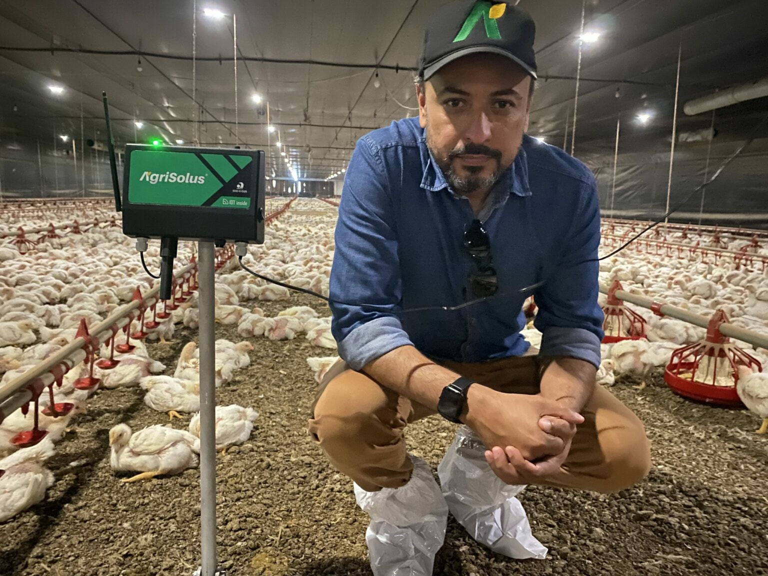 Startup que aplica inteligência artificial à avicultura recebe aporte da KPTL Startup que aplica inteligência artificial à avicultura recebe aporte da KPTL