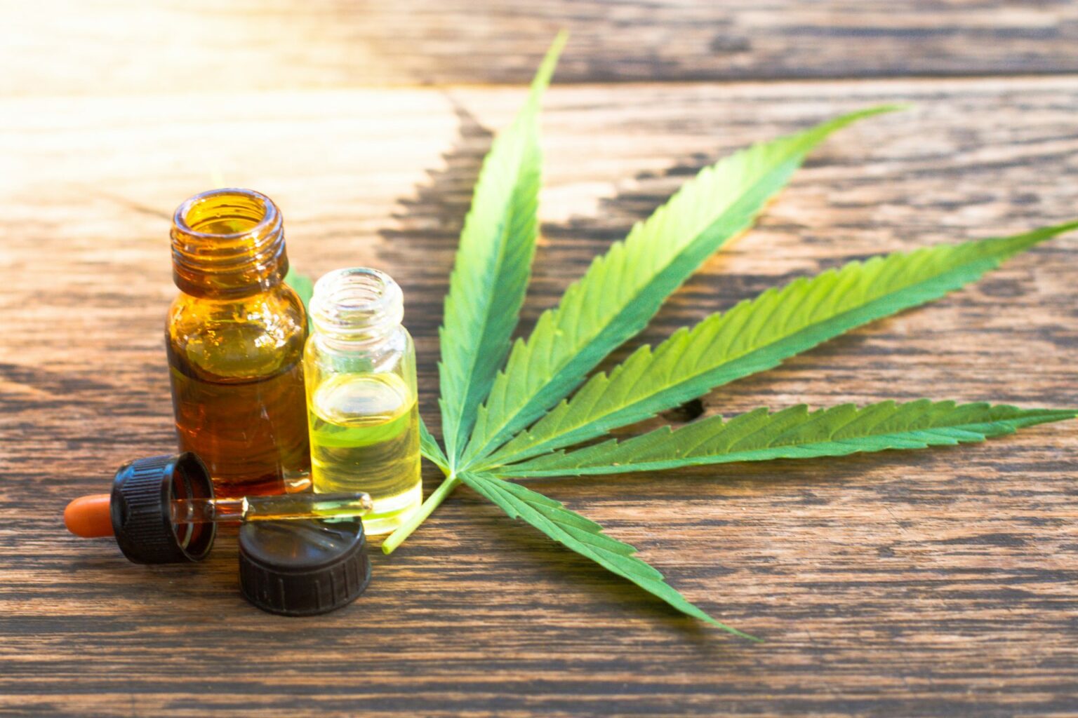 Brasil ganha estrutura abrangente e pioneira voltada ao uso medicinal da cannabis