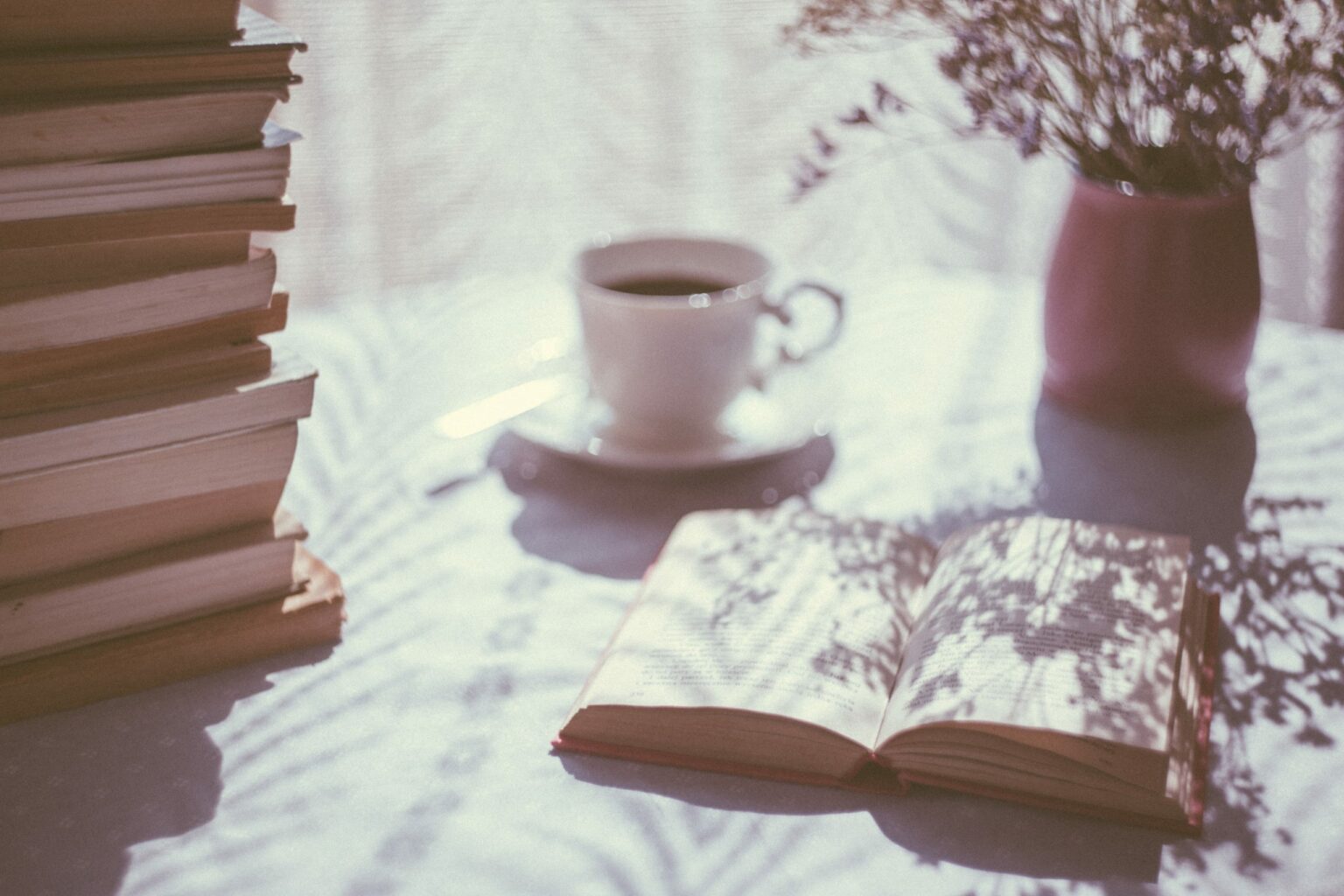 CEOs de 8 startups indicam opções de livros para período de quarentena