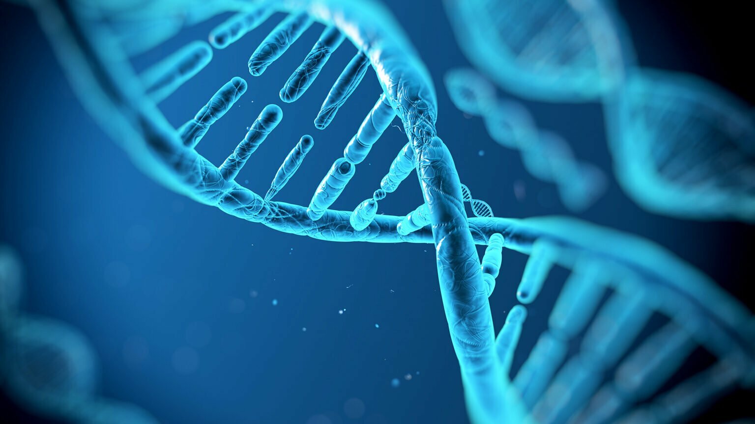 Biostartup Lab divulga a lista de equipes que terão seus projetos acelerados