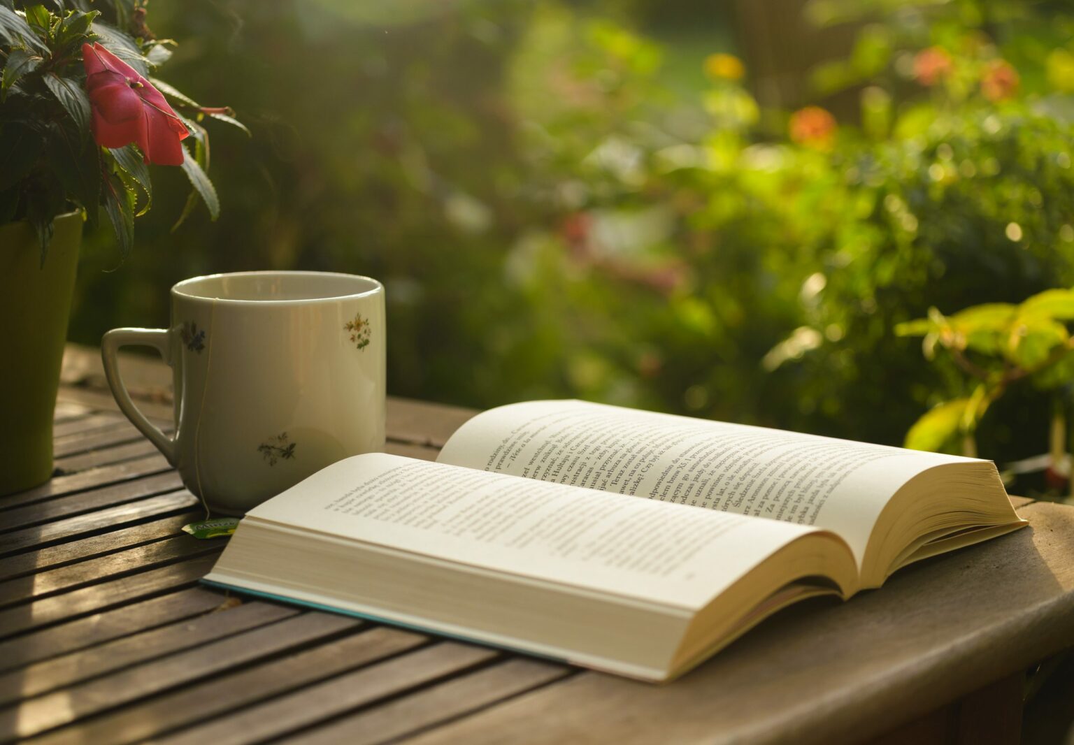 Dia Nacional do Livro: empreendedores e executivos buscam na literatura inspirações para os negócios Dia Nacional do Livro: empreendedores e executivos buscam na literatura inspirações para os negócios