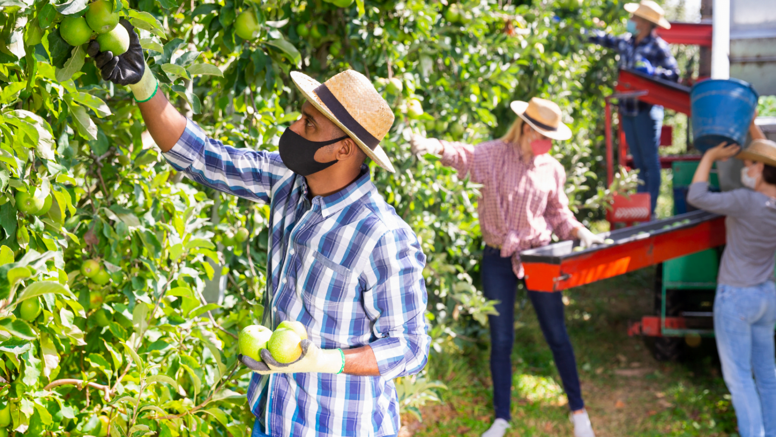 “Nunca estivemos em um momento tão propício para empreender no agro brasileiro", diz Francisco Jardim da SP Ventures