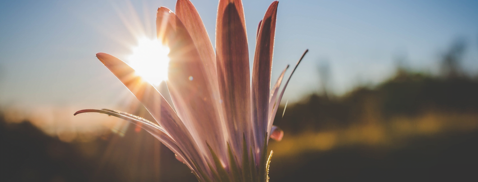 Inspiração vem de uma mente quieta e relaxada
