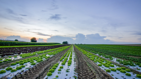 Startup que utiliza tecnologia para mapeamento de propriedades agrícolas recebe aporte de R$1 milhão