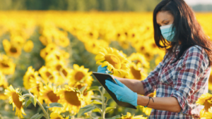 A transformação do campo ou a Internet da Terra