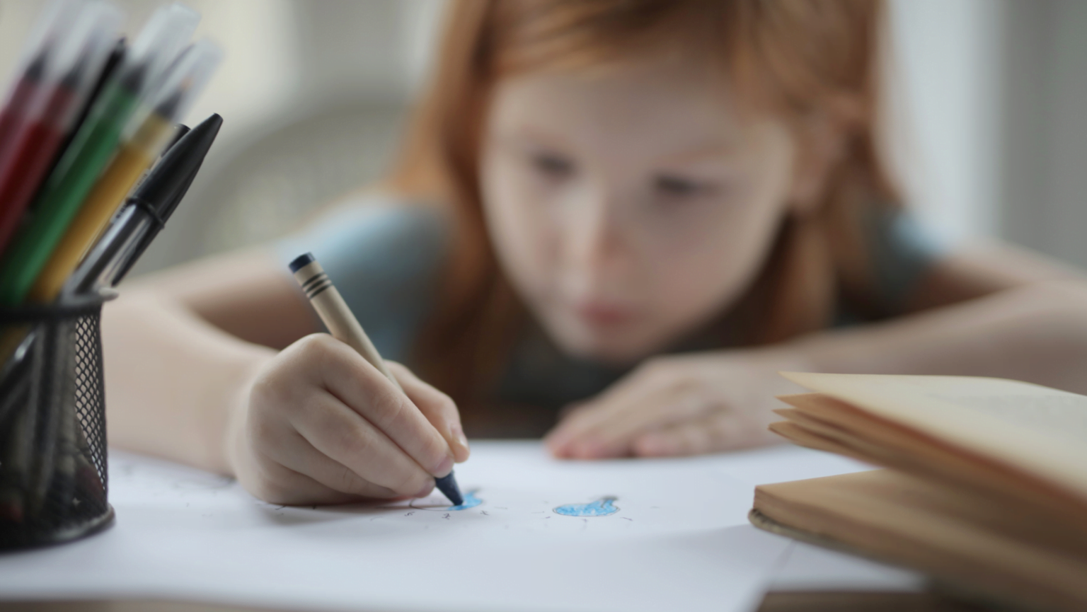 Estado de Nova York proíbe reconhecimento facial nas escolas Estado de Nova York proíbe reconhecimento facial nas escolas