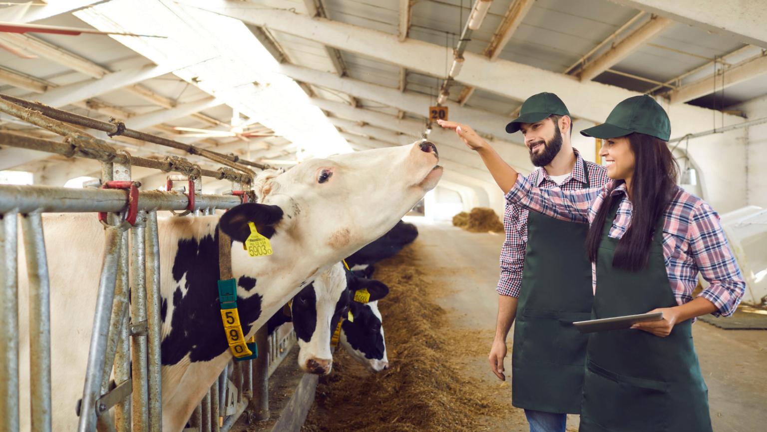 Agro é Tech! O promissor cenário das agtechs