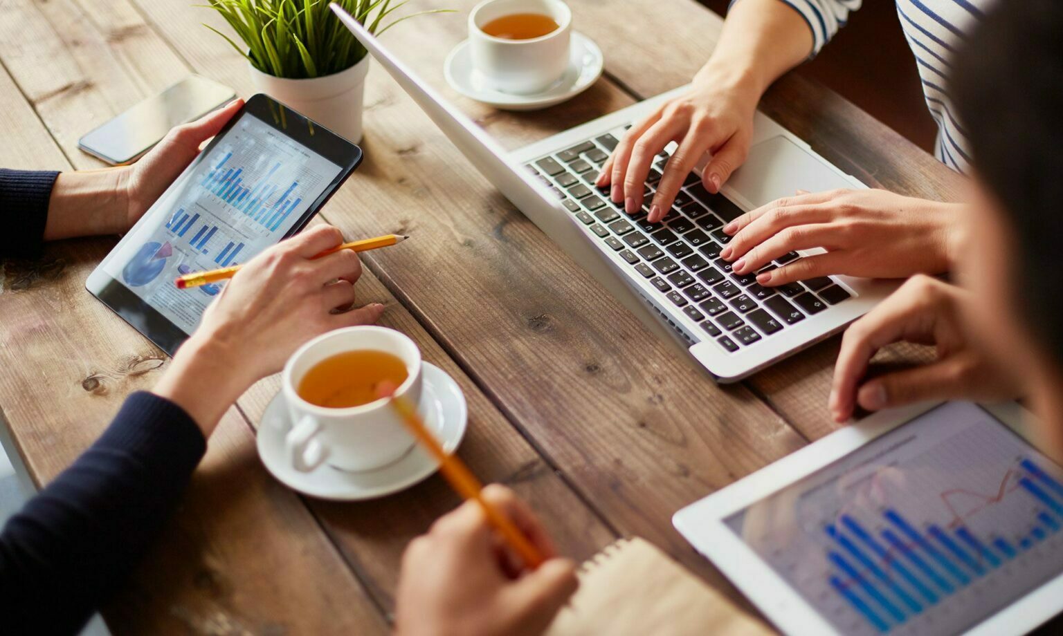 Websérie gratuita ajuda empresas no processo de retomada dos negócios Websérie gratuita ajuda empresas no processo de retomada dos negócios