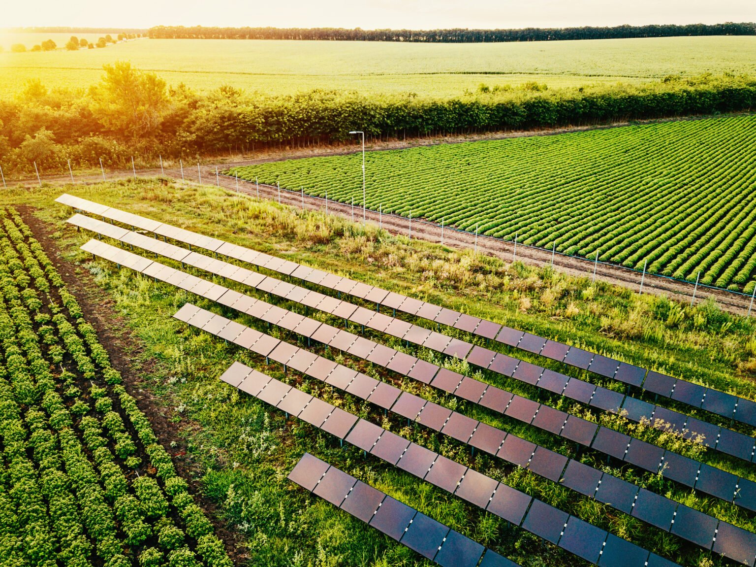 Em parceria com AgTech Garage, empresas selecionam startups interessadas em apoiar cadeia agrícola durante a Covid-19