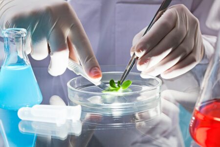 Hub de inovação em biotecnologia abre inscrições para programa de aceleração