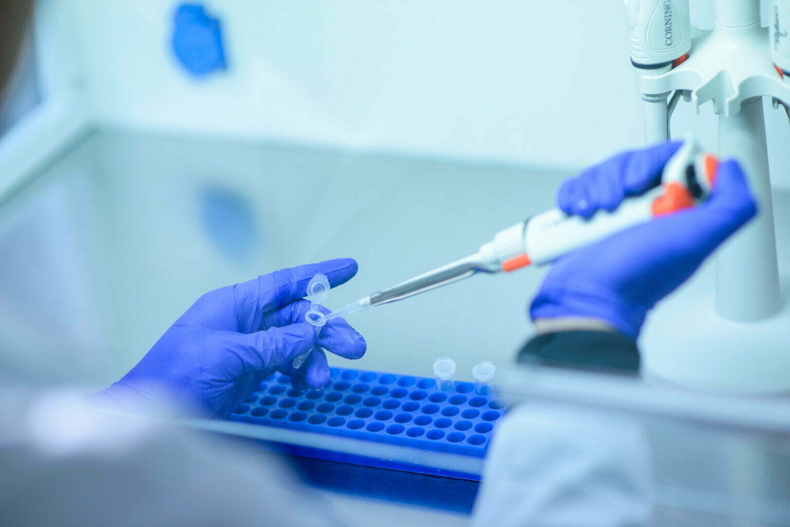 BRF investirá R$ 100 mil em estudos e projetos de universidade relacionados à covid-19 BRF investirá R$ 100 mil em estudos e projetos de universidade relacionados à covid-19
