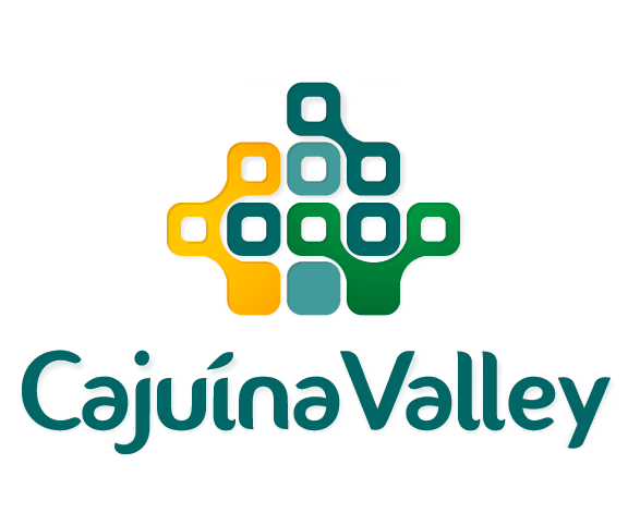 Conheça a Cajuína Valley, comunidade de startups e inovação do Piauí
