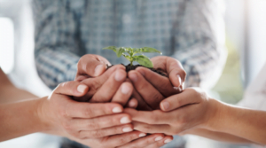 É hora de potencializar o empreendedorismo sustentável