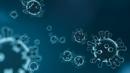 Covid Radar: empresas e organizações lançam plataforma de ação contra a pandemia