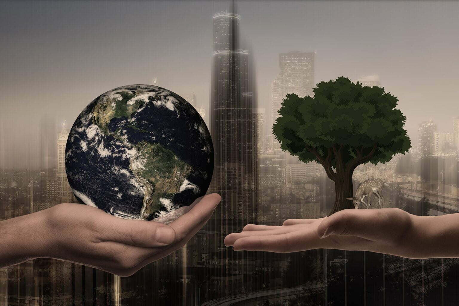 ESG: o valor do S à rotina corporativa