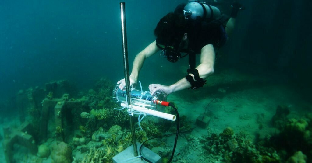 Intel utiliza Inteligência Artificial para salvar recifes de corais