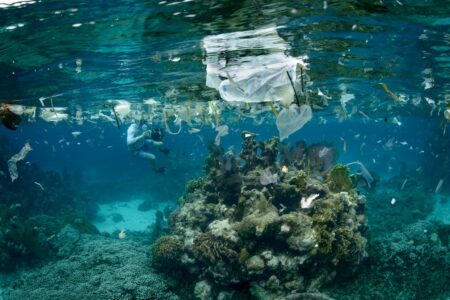 SAP se junta à ação coletiva para garantir oceanos mais limpos até 2030