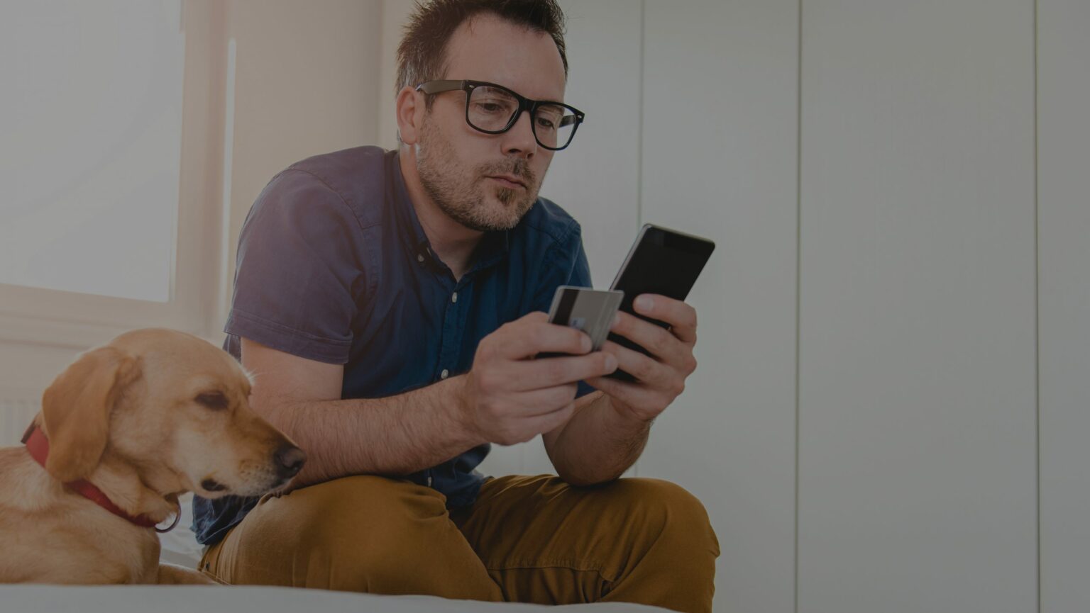 Softbank investe R$ 250 milhões em e-commerce brasileiro de produtos pet