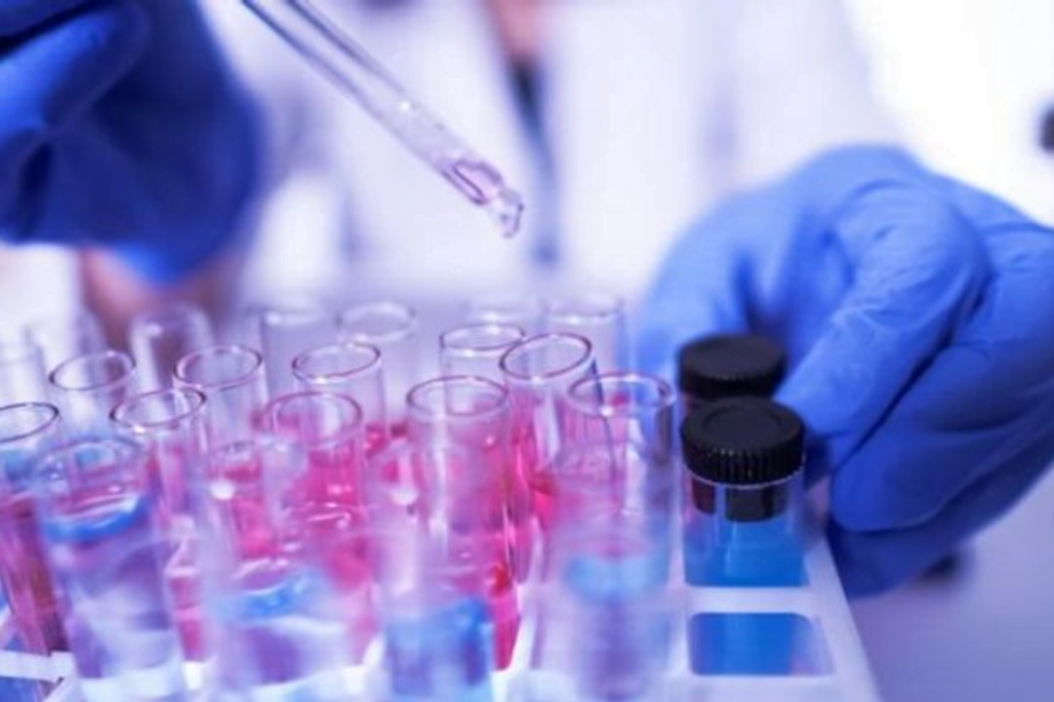 Plena Saúde foca no mercado de Pessoas Jurídicas