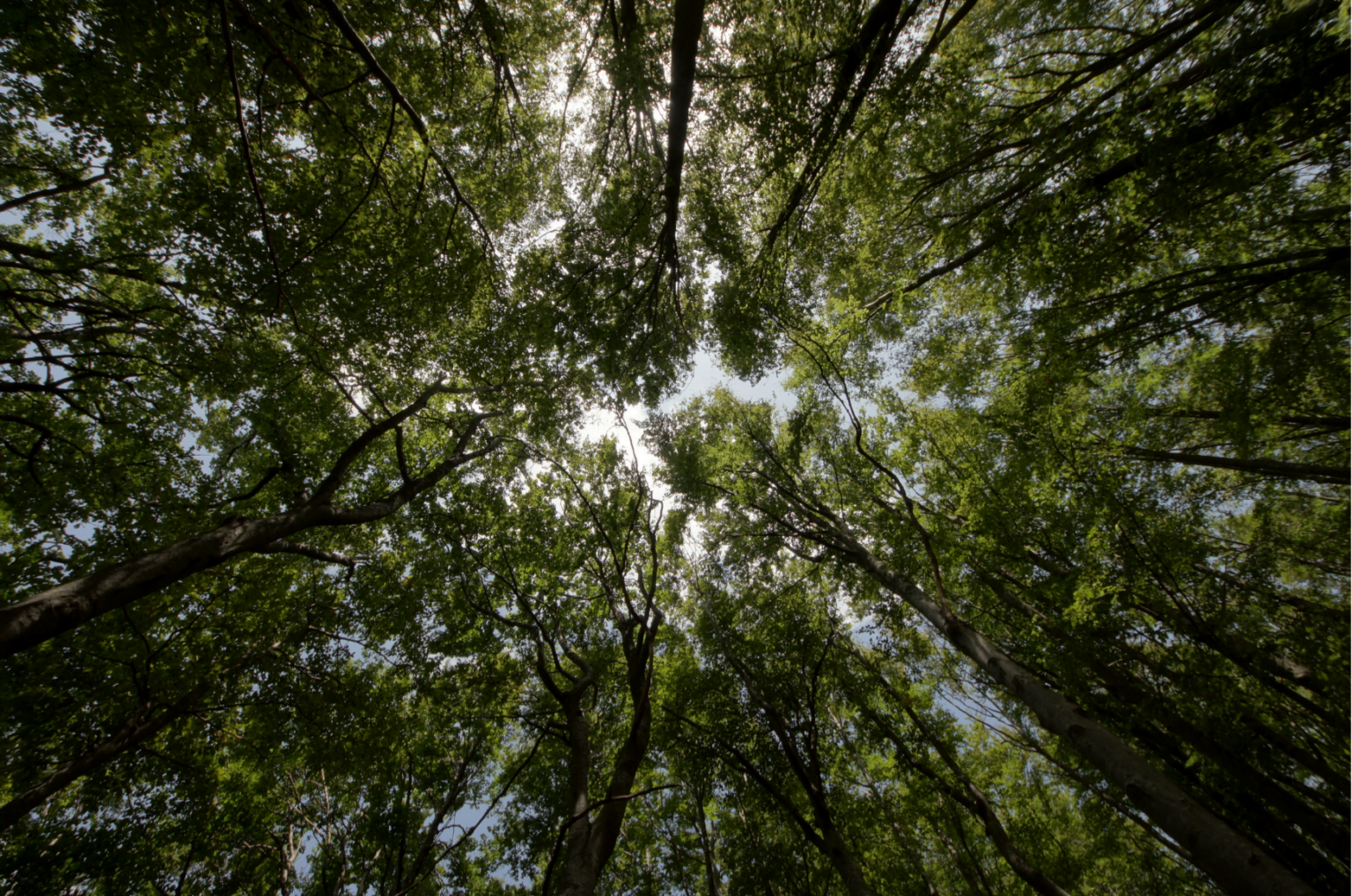 Com investimento de R$ 30 milhões, Vivalá inicia expansão e quer consolidar ecoturismo no Brasil