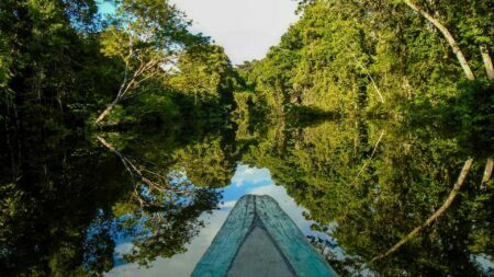 Dia da Amazônia: conheça a iniciativa para preservar 1,5 milhão de hectares da floresta