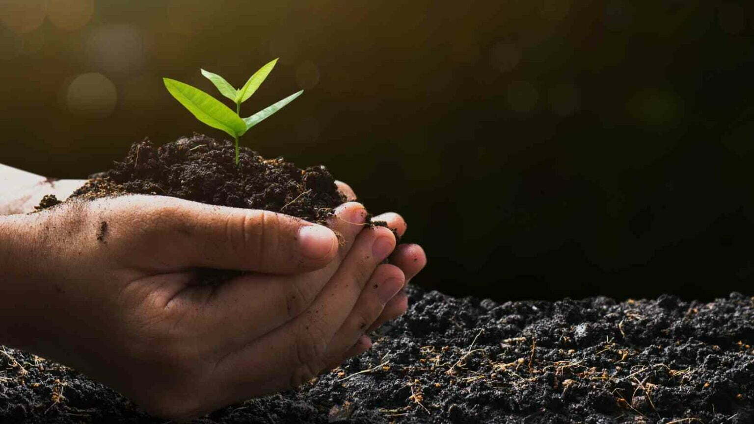 Startup capixaba é selecionada para participar do Web Summit Lisboa 2022 Startup capixaba é selecionada para participar do Web Summit Lisboa 2022