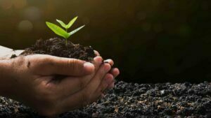 Startup capixaba é selecionada para participar do Web Summit Lisboa 2022