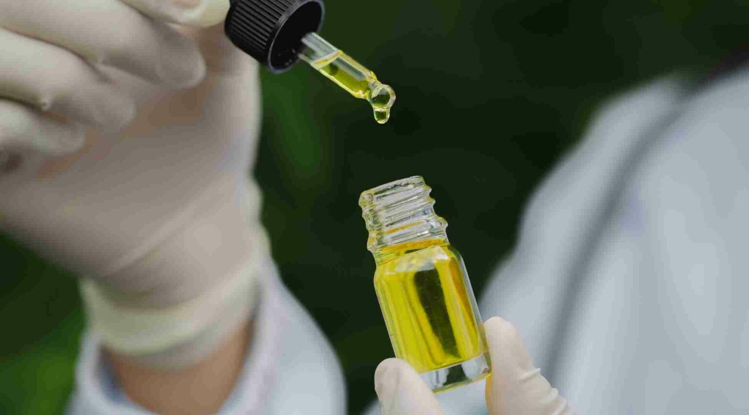GreenCare lança delivery de cannabis medicinal com entrega em até 48 horas delivery de cannabis