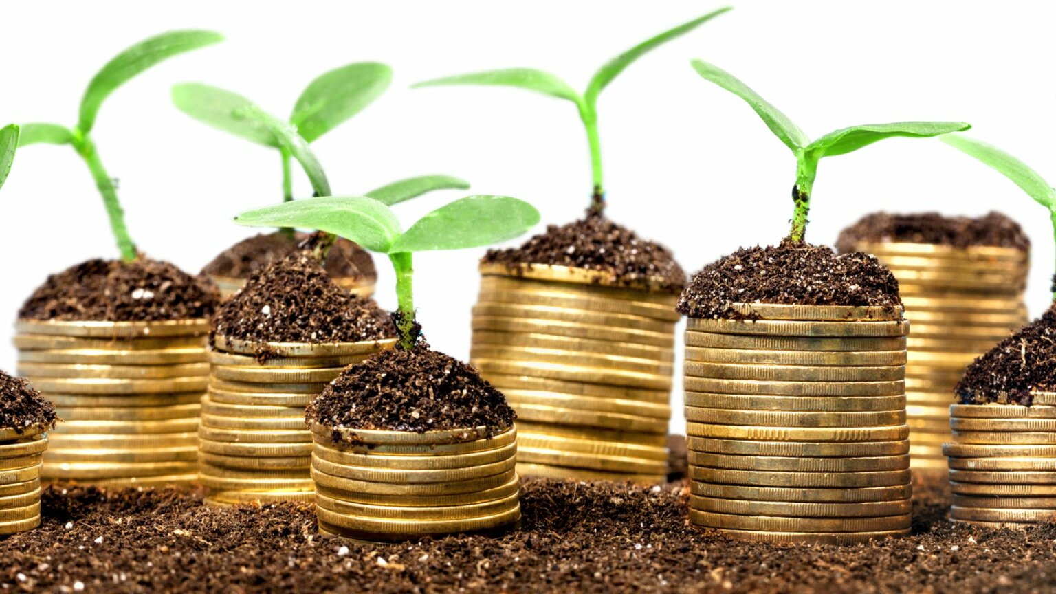 Grupo ND lança vertical de investimentos com meta de R$ 80 milhões em aportes