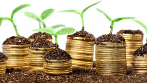 Grupo ND lança vertical de investimentos com meta de R$ 80 milhões em aportes