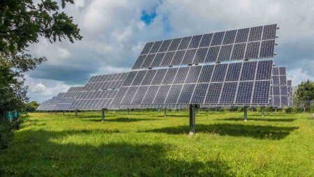 Lemon Energia e Navi se unem para coordenar 8 fazendas solares espalhadas pelo Brasil