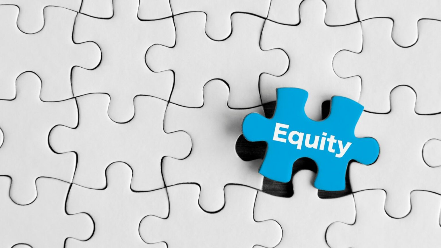 Equity: especialista explica como definir durante uma rodada de investimento