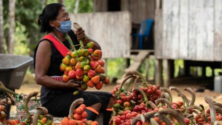Empreendedorismo feminino na Amazônia