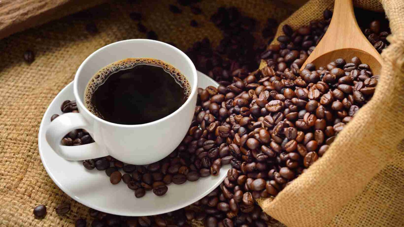 Dia do café: Conheça startups brasileiras que inovam no mercado