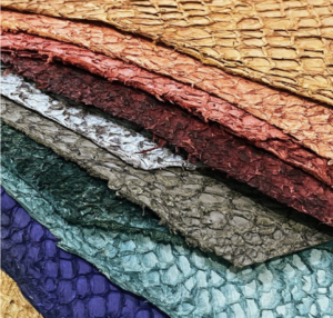 Yara, startup que confecciona couro derivados de peixe da Amazônia, recebe R$ 2 milhões em investimento