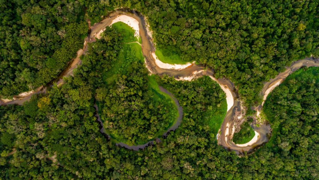 Tesouros da Amazônia: História, cultura e desenvolvimento sustentável