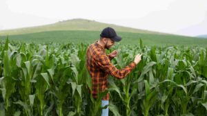 Focado no agro, Viasoft e Bertha Capital se unem para criar novo fundo de R$ 100 milhões Focado no agro, Viasoft e Bertha Capital se unem para criar novo fundo de R$ 100 milhões