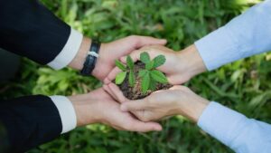 Brasil, inovação e economia verde: um chamado urgente para empreendedores