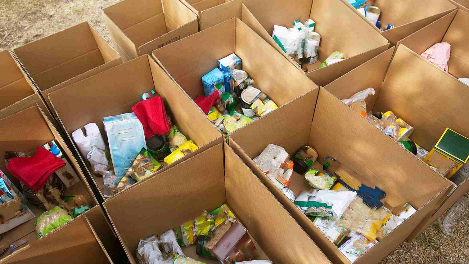 Bússola Social transforma doações em investimento de impacto real Bússola Social transforma doações em investimento de impacto real