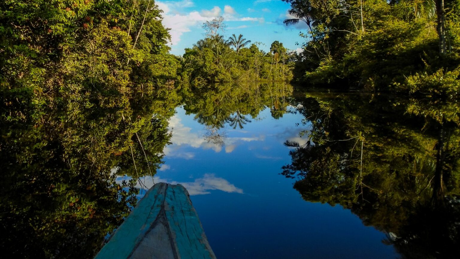 Startup Invest Amazônia estima faturar R$ 700 mil em 2023 com parcerias estratégicas Invest Amazônia