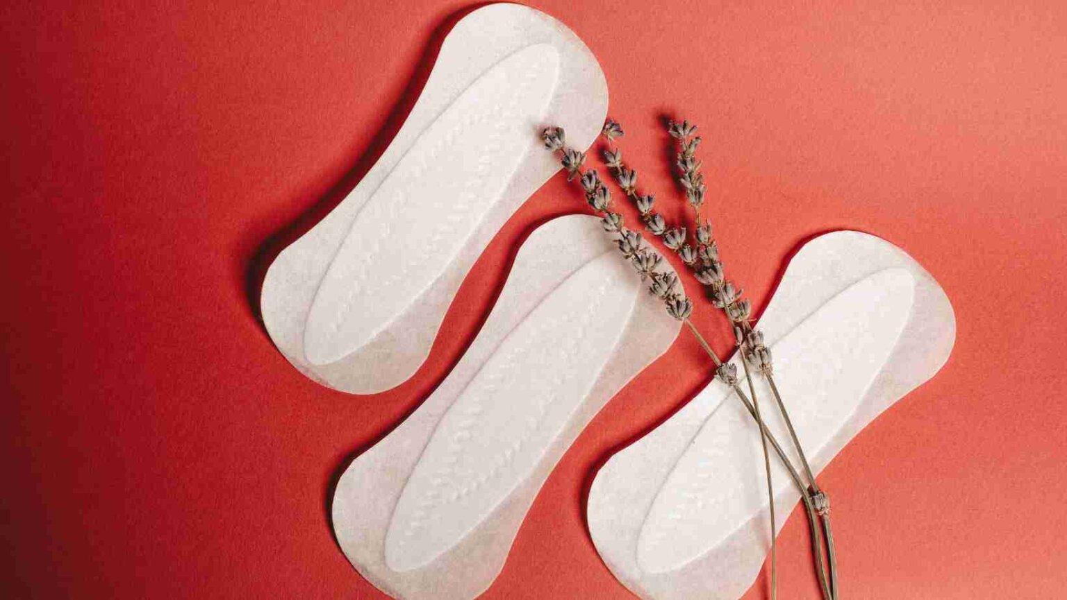 Nua recebe aporte de R$ 1 milhão para entregar absorvente biodegradável ao mercado