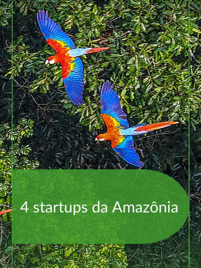 4 startups da Amazônia