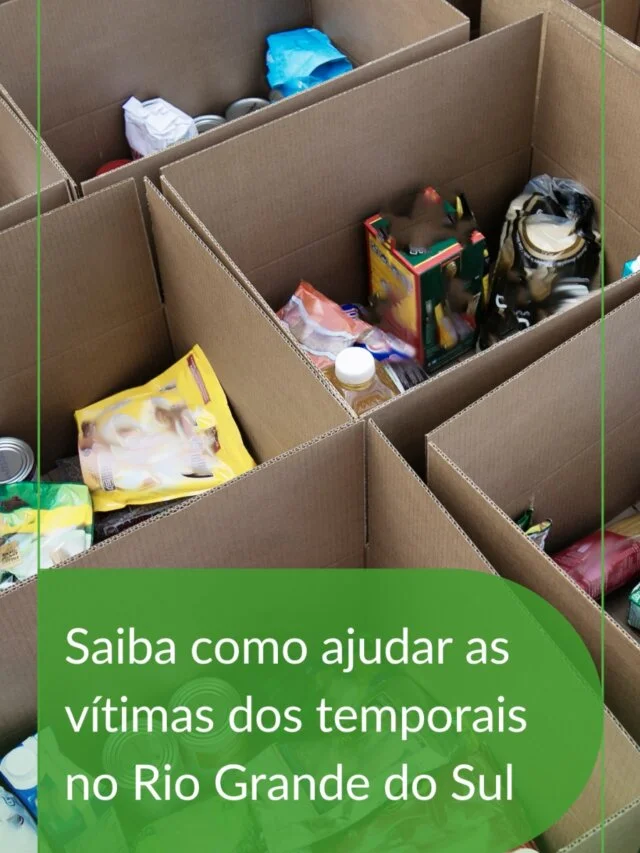 Saiba como ajudar as vítimas dos temporais no Rio Grande do Sul