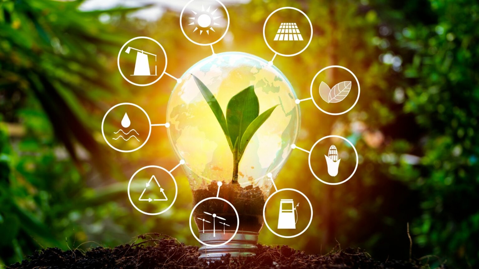 Dayback desenvolve soluções em energia renovável para clientes comerciais Dayback