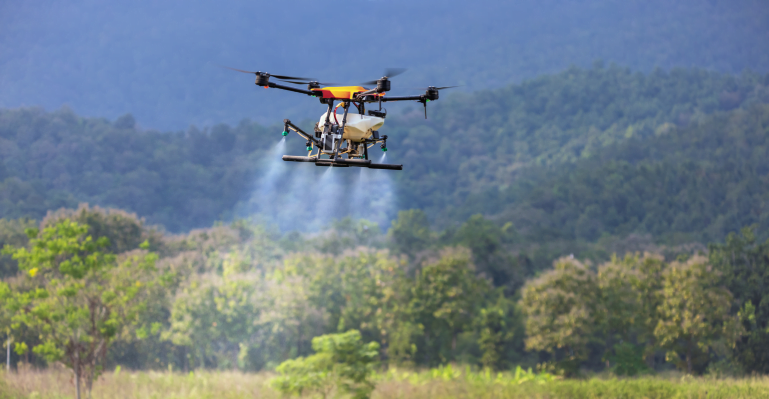 Prefeitura do Rio investe R$ 1 milhão em reflorestamento com apoio de startup 