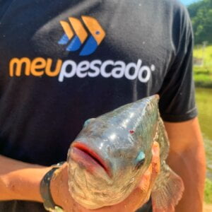 meu pescado