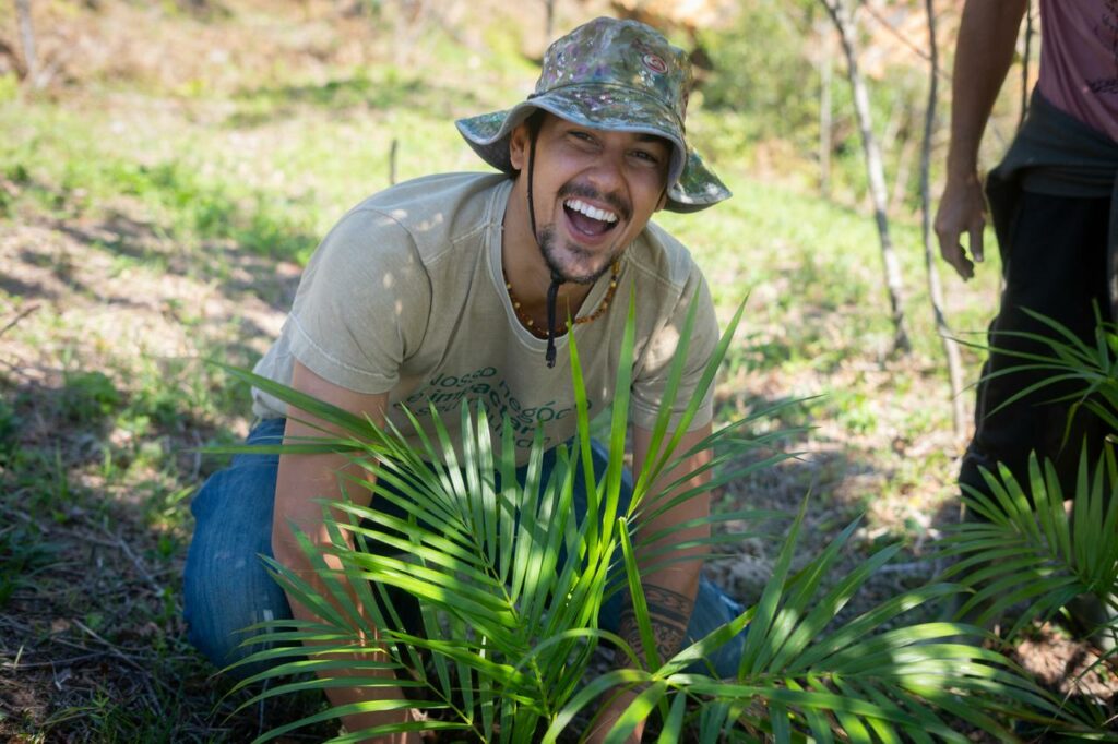 Agroforestry Carbon Arara Seed